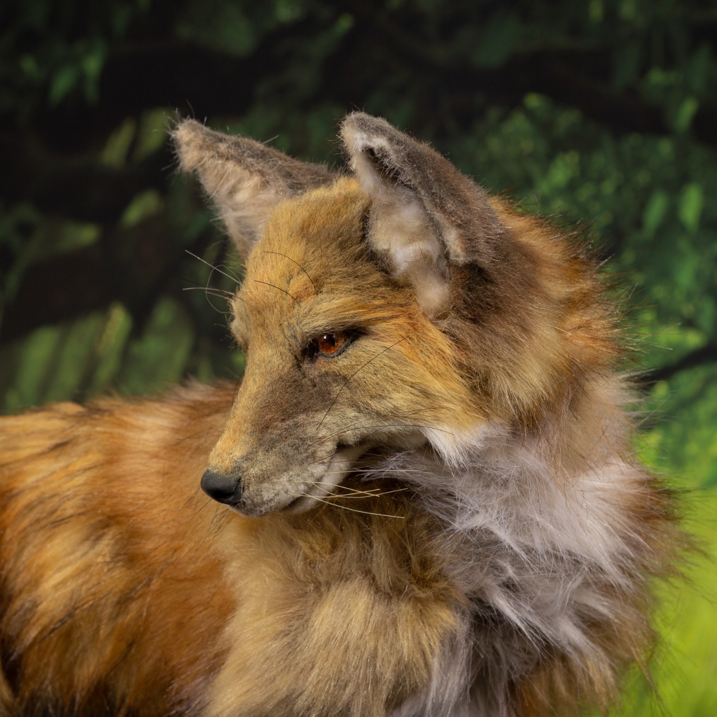 Gerda fox art doll in forest scene