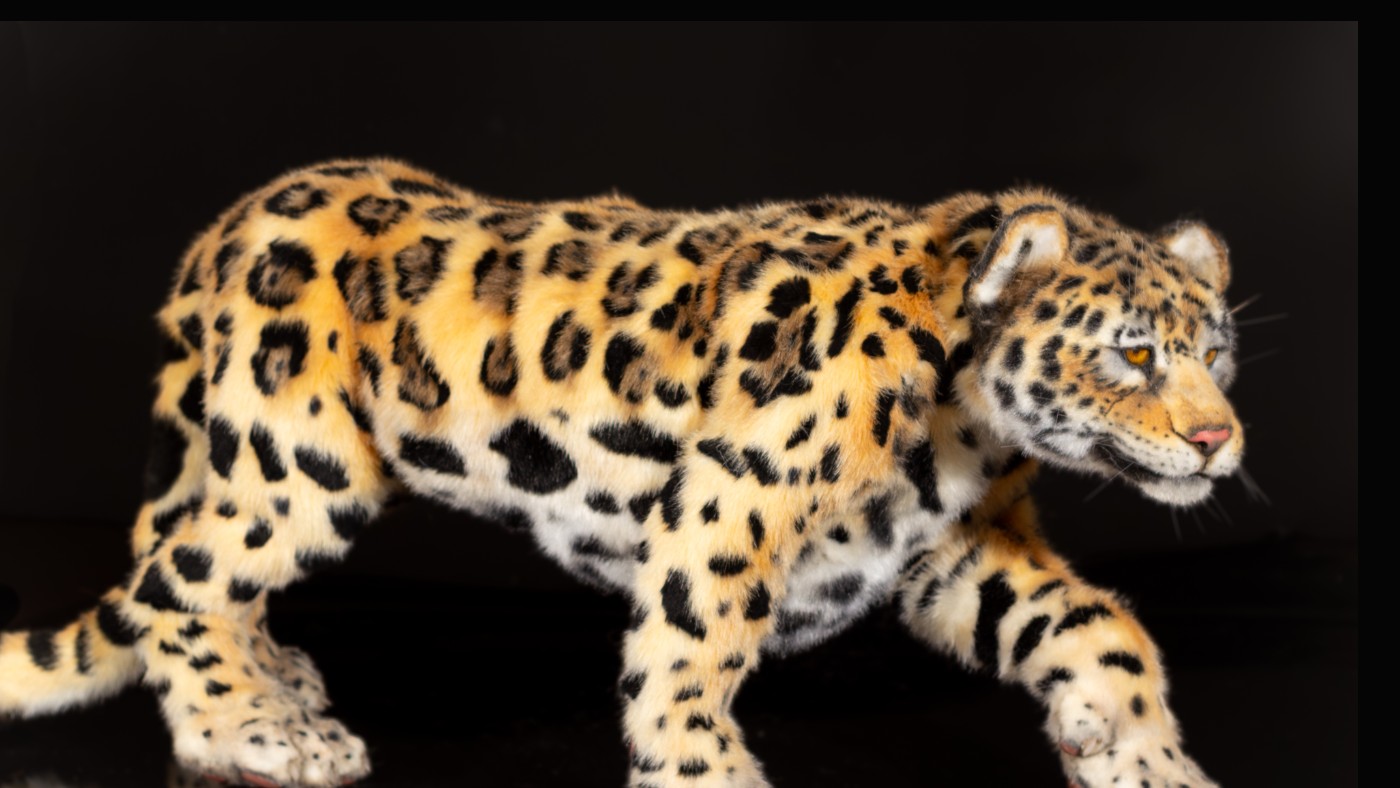 Asher, a realistic jaguar art doll by Niklina Toys