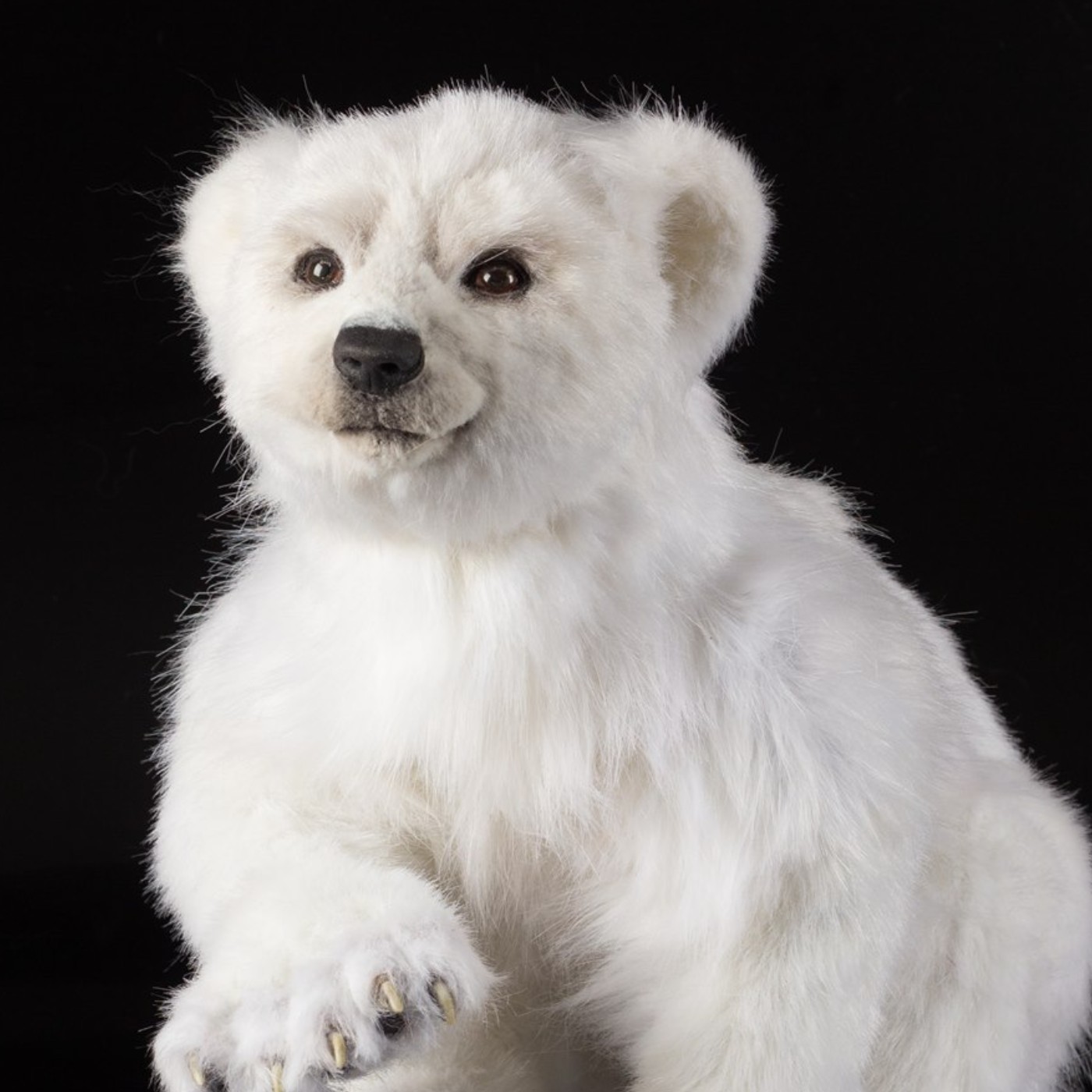 Melvin realistic polar bear art doll