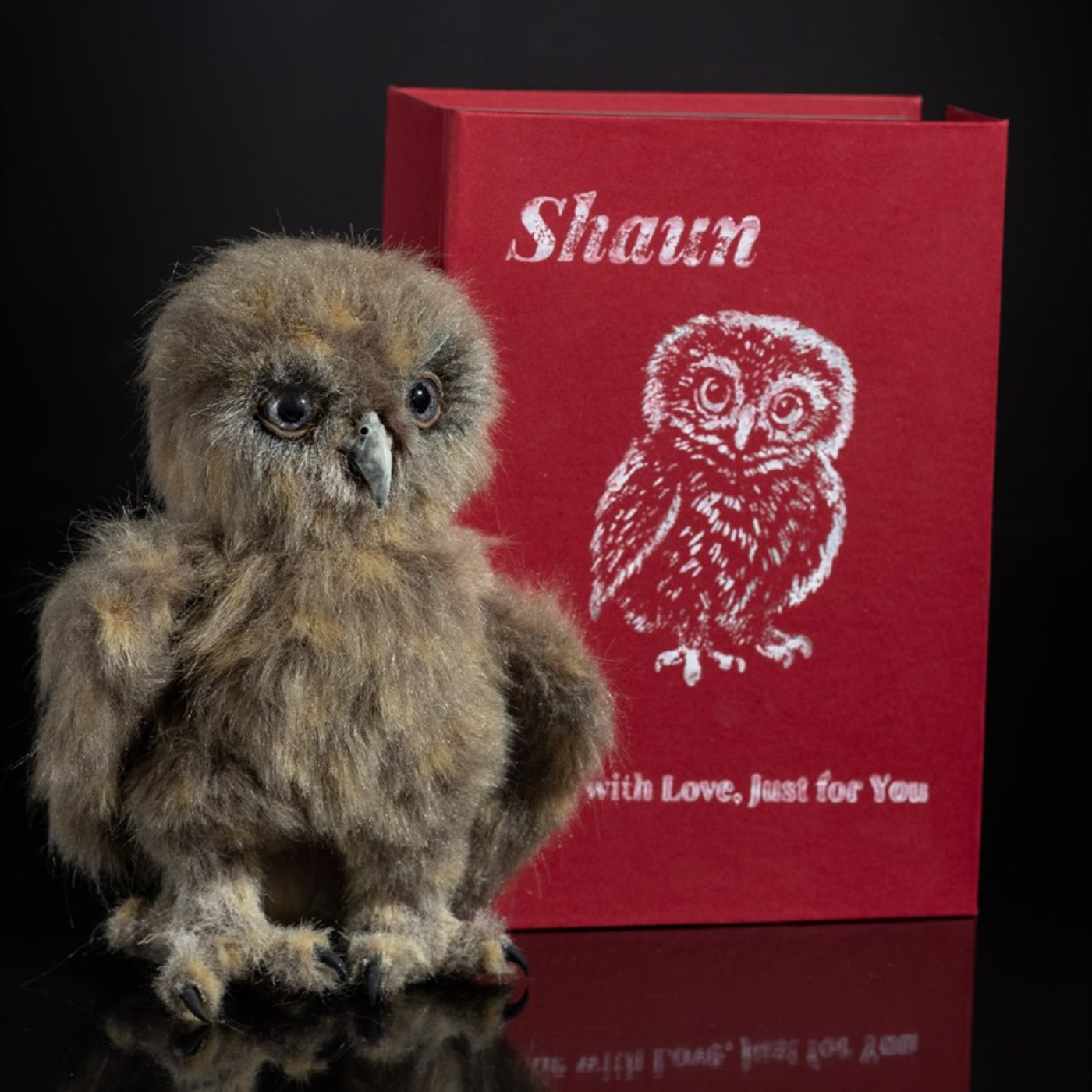 Shaun realistic baby owl art doll